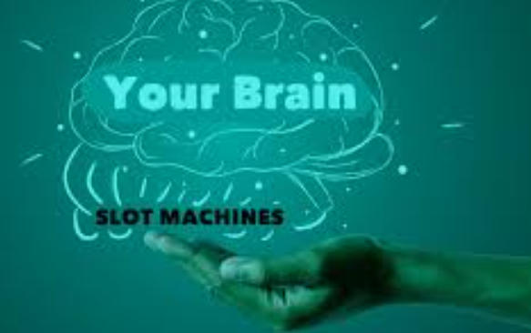 Psikologi Pemain Saat Mengikuti Perputaran Slot Online